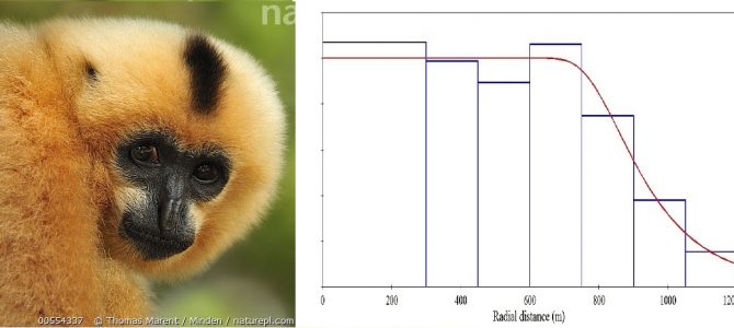 Scientists of the Institute published the scientific work on the use of the Distance sampling method in estimating population size and density gibbons in American Primatology Journal:
