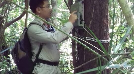 A new scientific paper published by IBF scientists in the International Journal of Primatology: An Application of Autonomous Recorders for Gibbon Monitoring